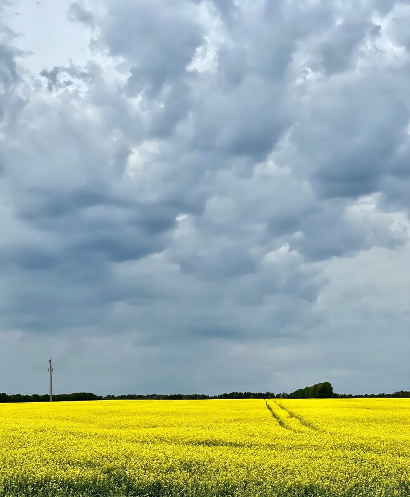 Photograph by Татьяна Раковская