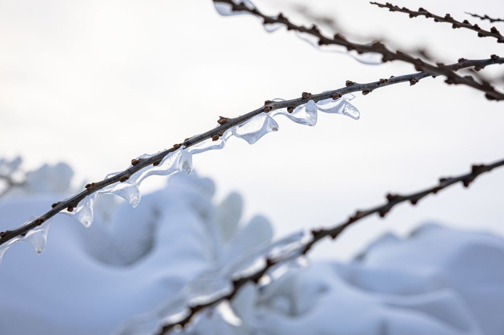 Фотография автора Алена Скокова