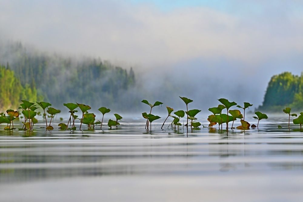 Photograph by Сергей Зубов