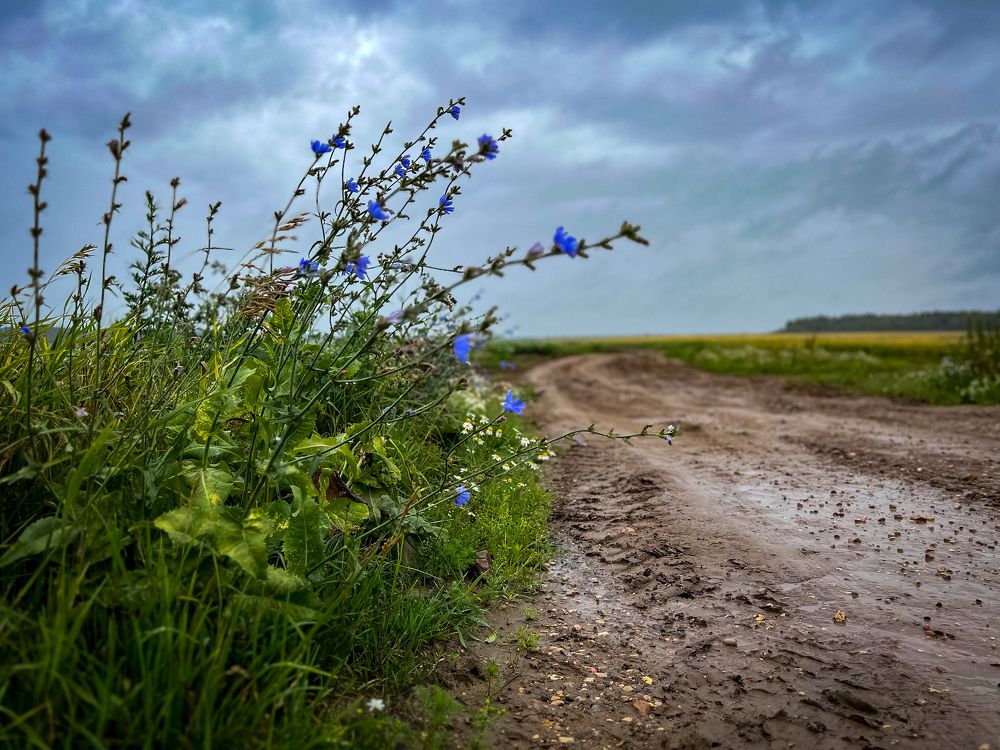 Photograph by Галина Аскольдовна Луковникова