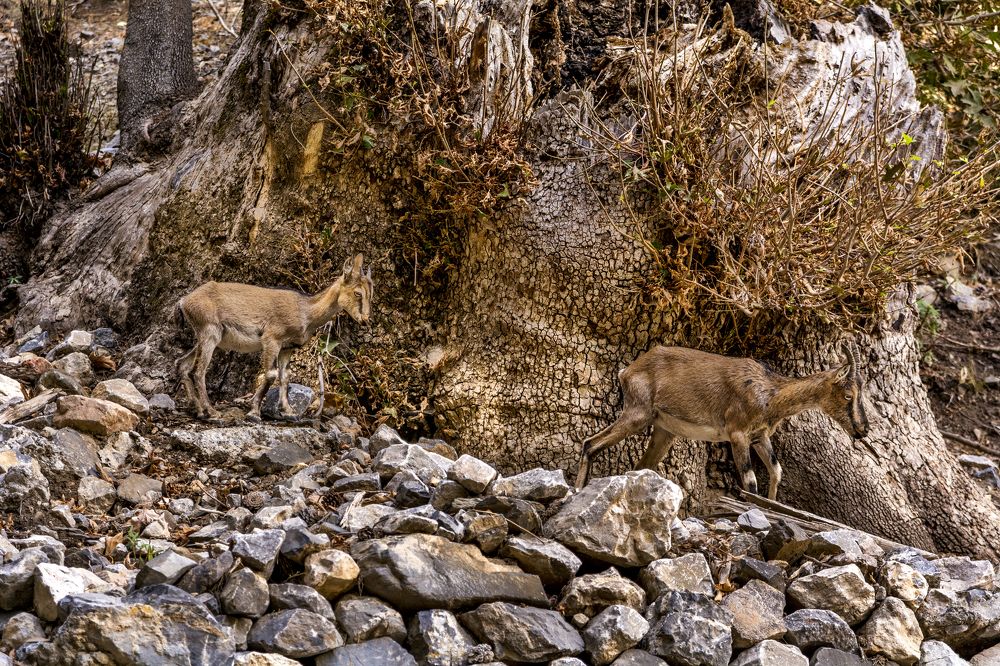 Photograph by Nikolai Barchan