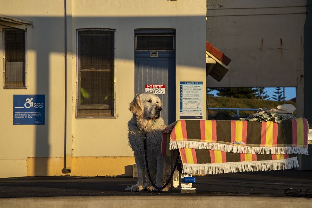 Photograph by Renee Johansson