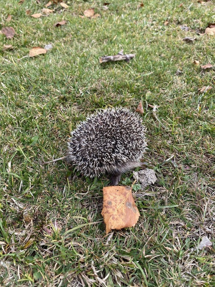 Photograph by Алиса Лукина