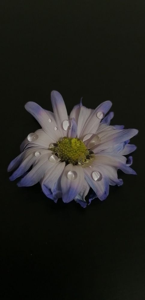 Photograph by Елена Сабирова