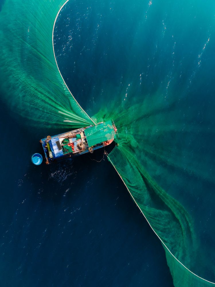 Photograph by Bao Nguyen