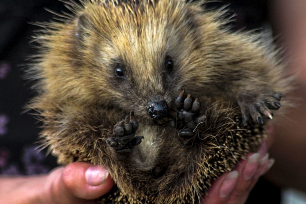 Photograph by Людмила Павловна