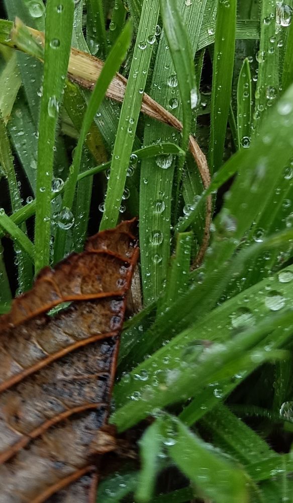 Фотография автора Светлана Анатольевна Чернышова