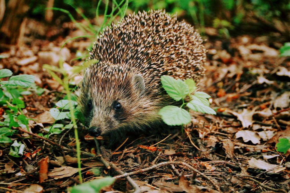 Photograph by Yana Egorova