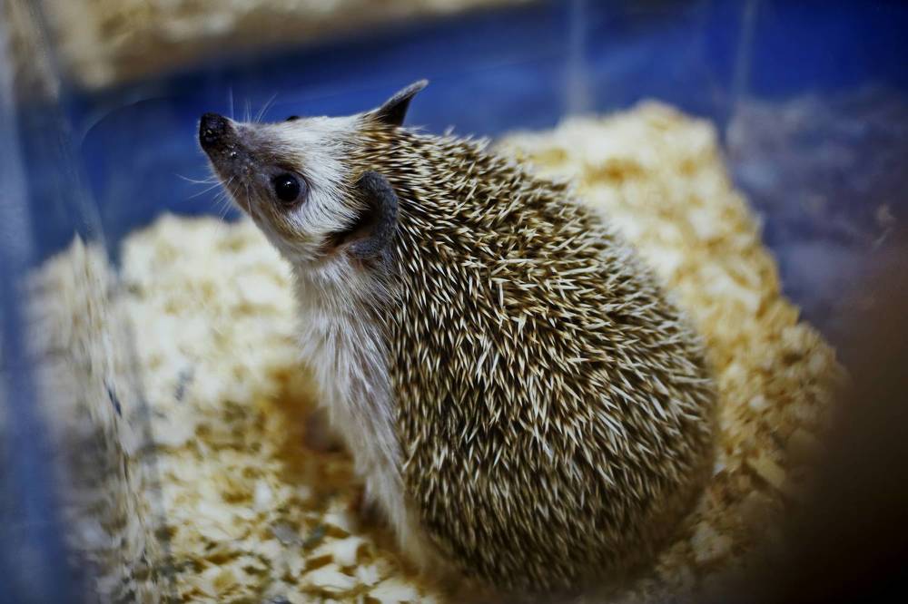 Photograph by Yana Egorova