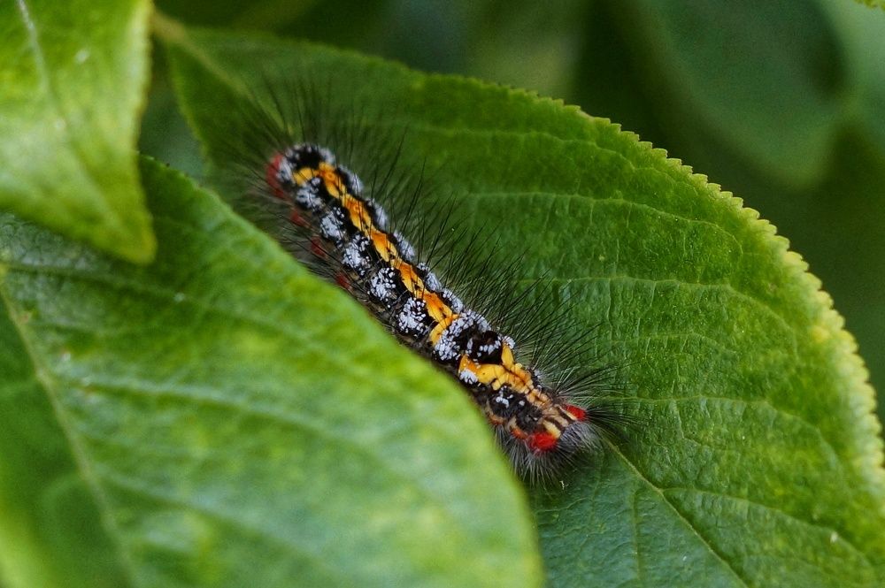 Photograph by Ольга Слугина