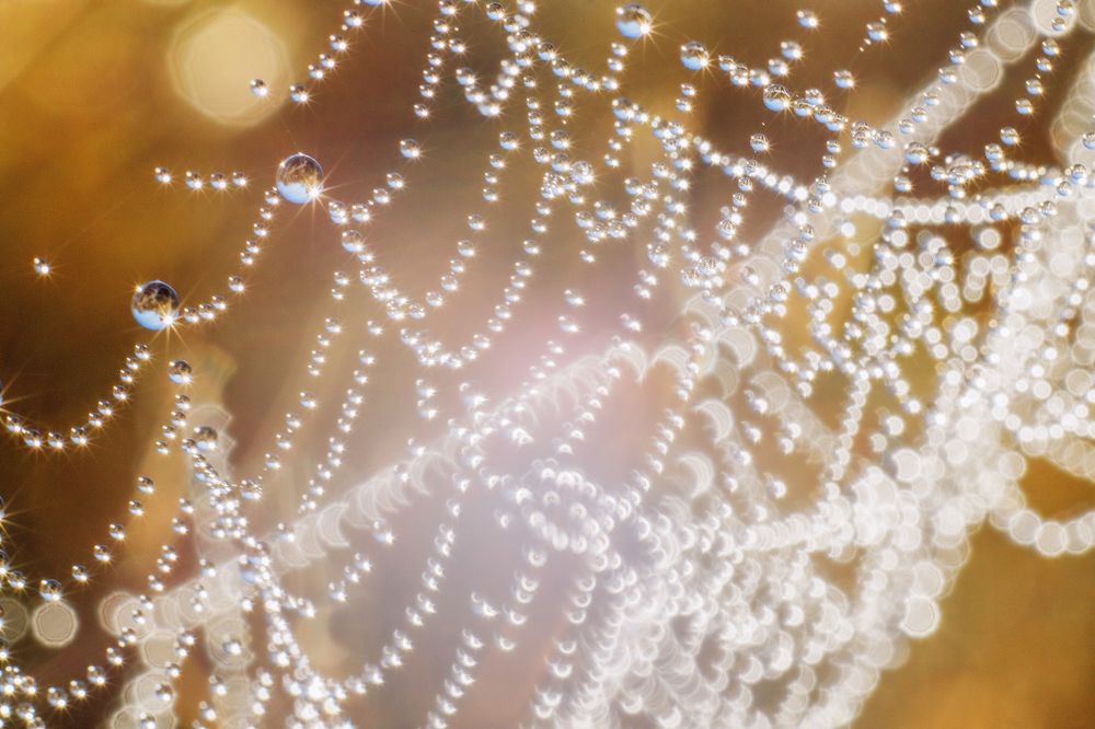 Photograph by Иван Чаланов