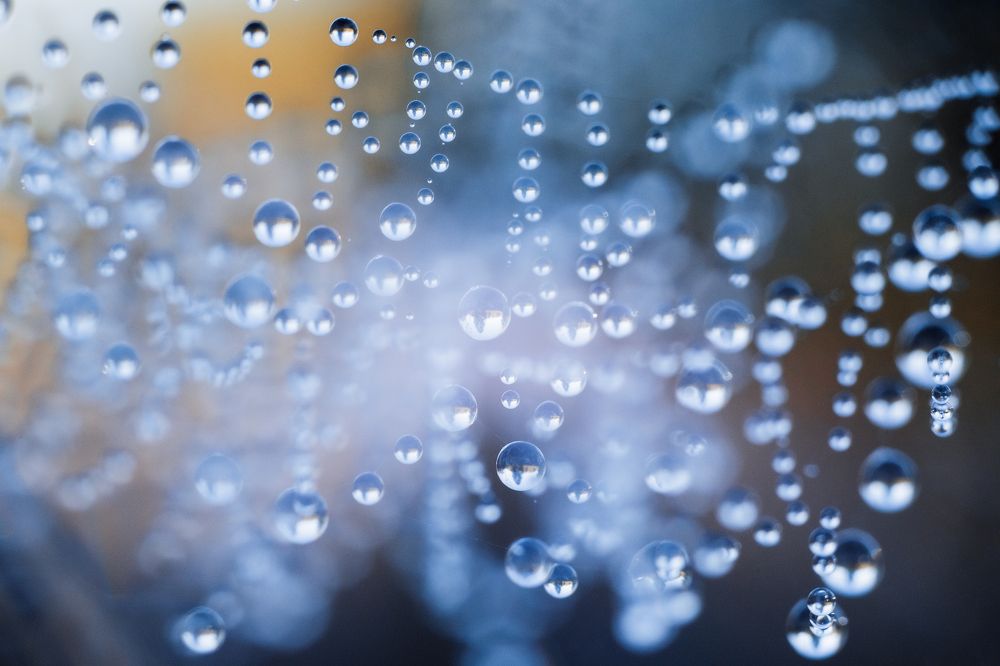 Photograph by Иван Чаланов