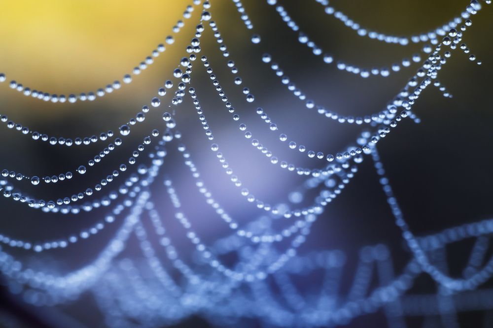 Photograph by Иван Чаланов