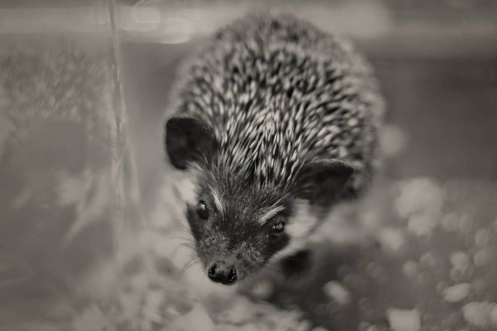 Photograph by Yana Egorova