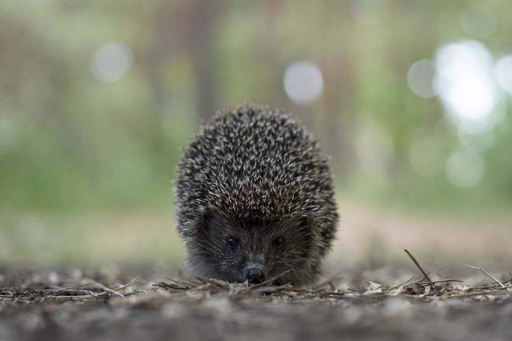 Photograph by Сергей Затямин