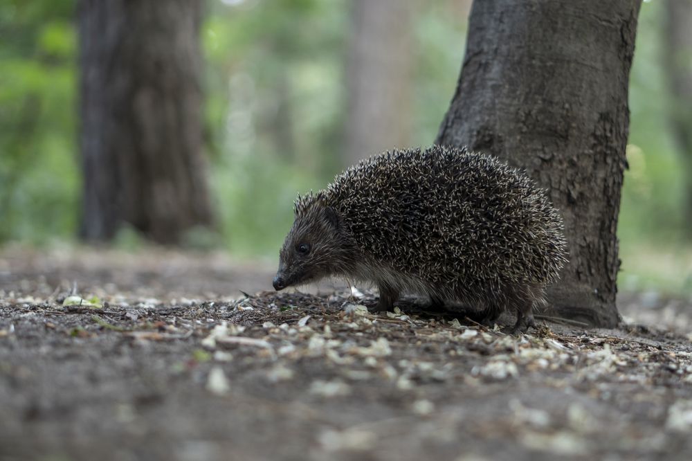 Photograph by Сергей Затямин