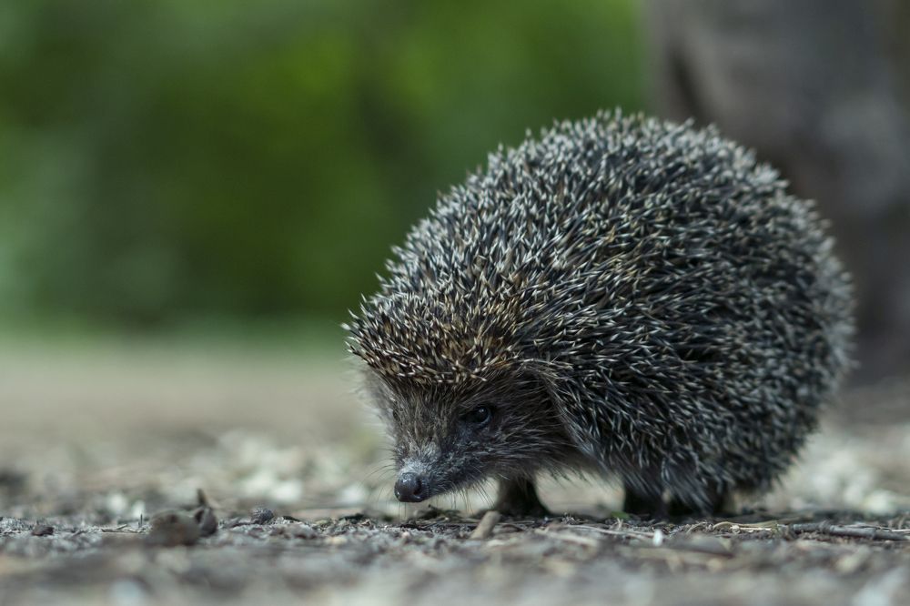 Photograph by Сергей Затямин