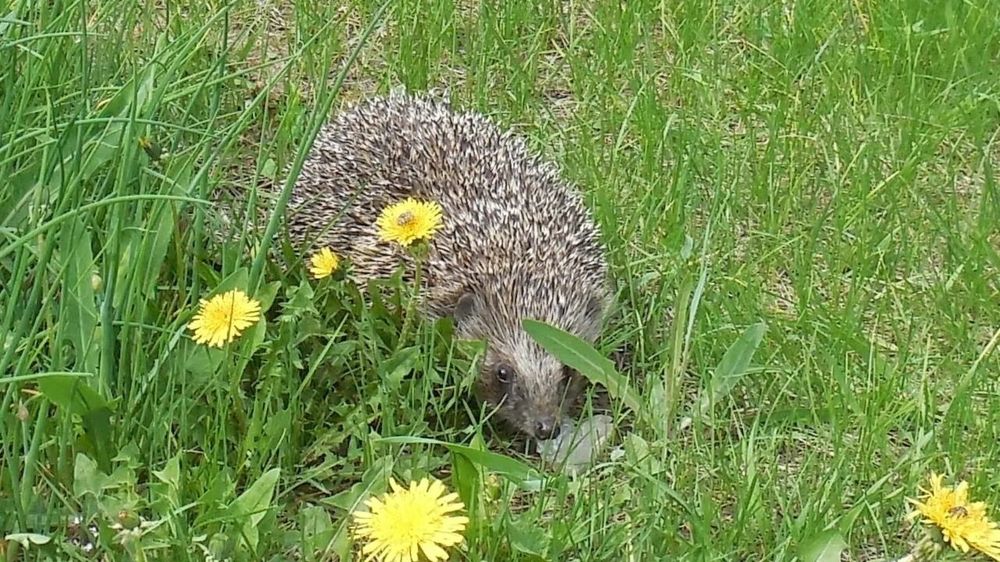 Фотография автора Павел Попов