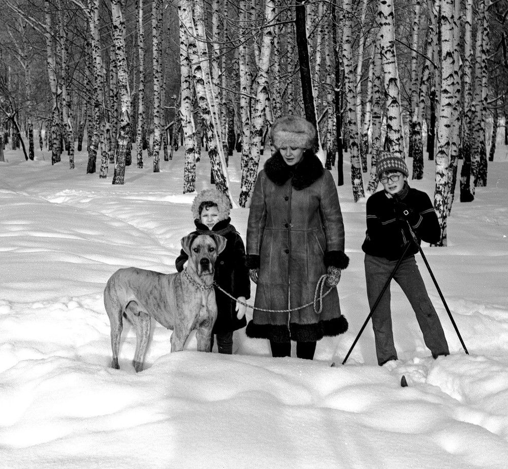 Photograph by Владимир Малёшин