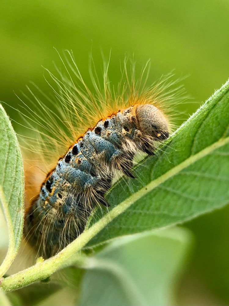 Photograph by Юлия Отставнова