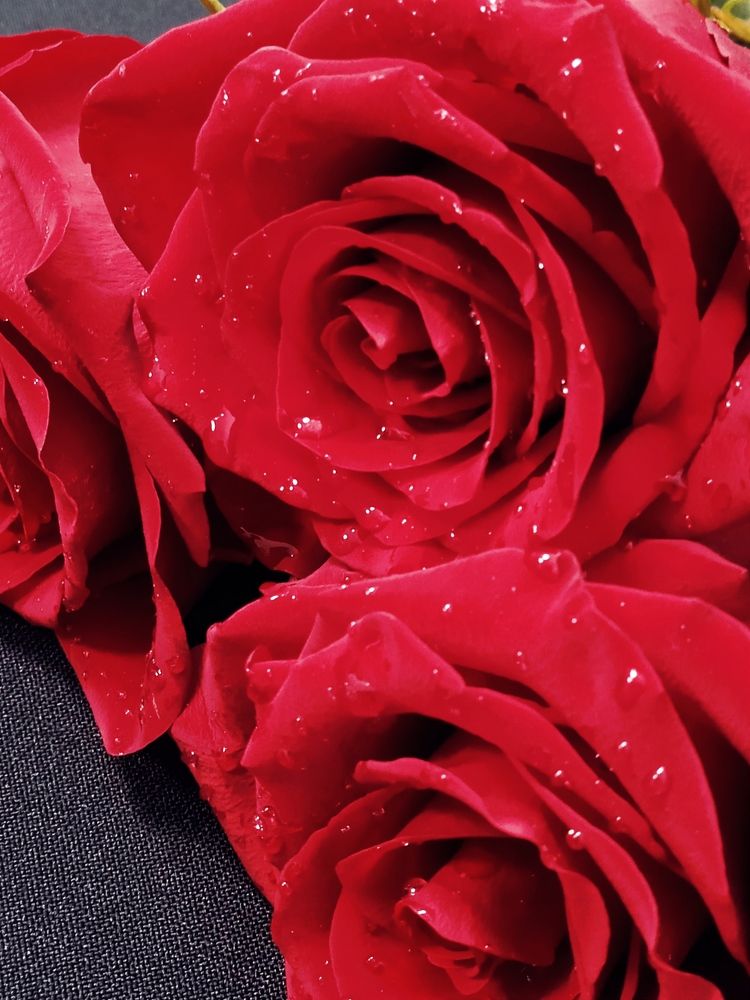 Photograph by Наталья Назаренко