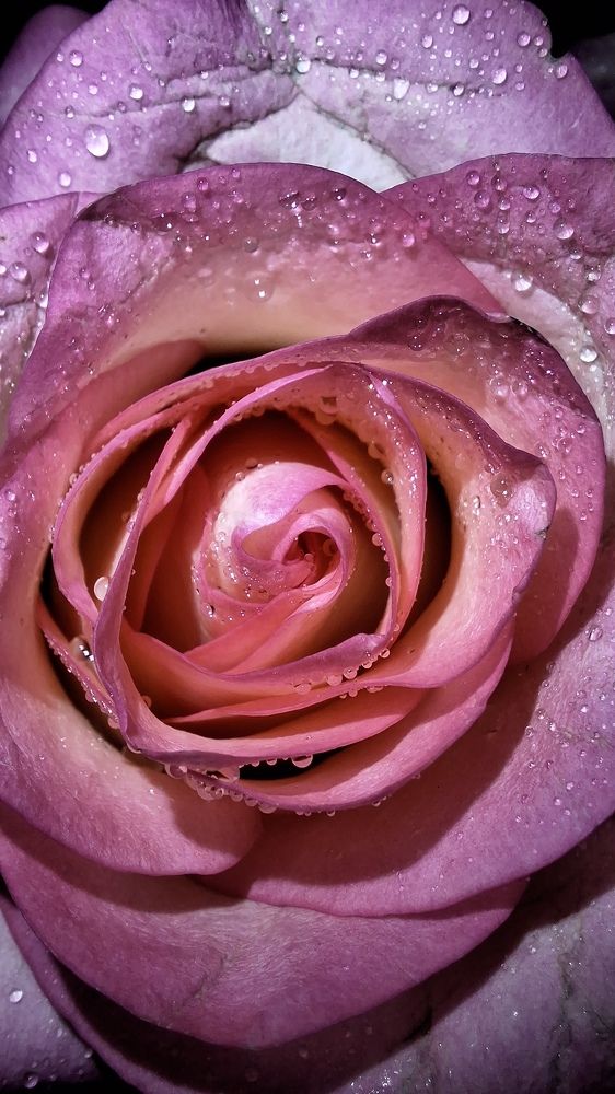 Photograph by Наталья Вялых