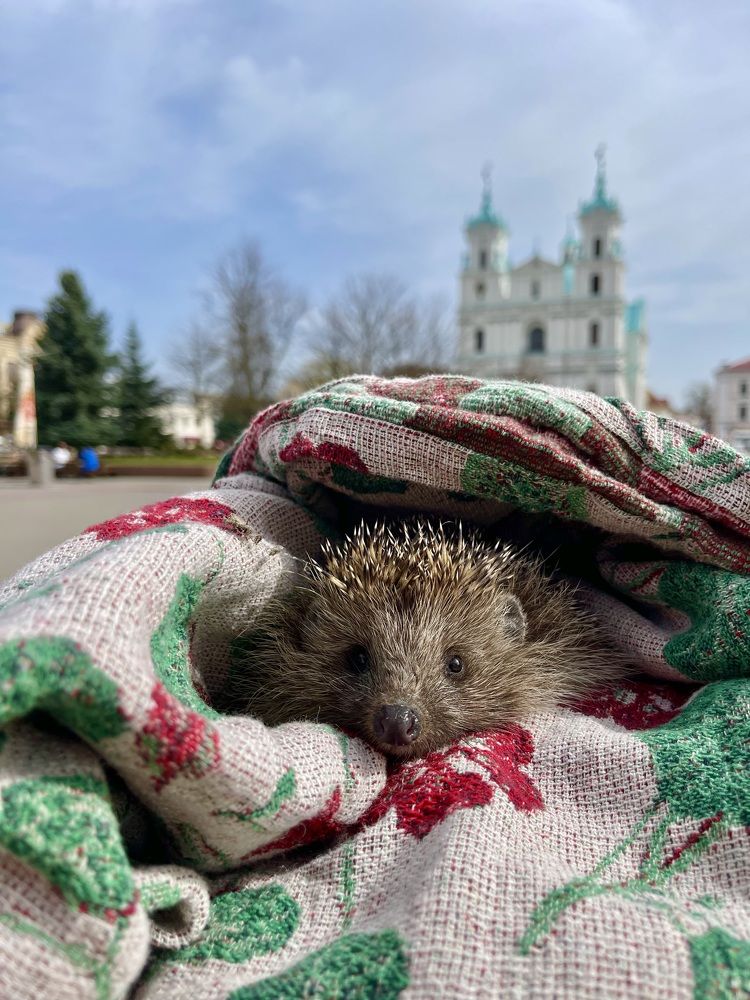 Photograph by Екатерина Павловец