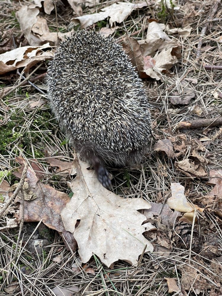 Photograph by Екатерина Павловец