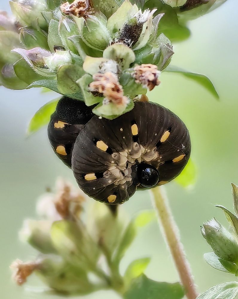 Photograph by Кристина Рыбина