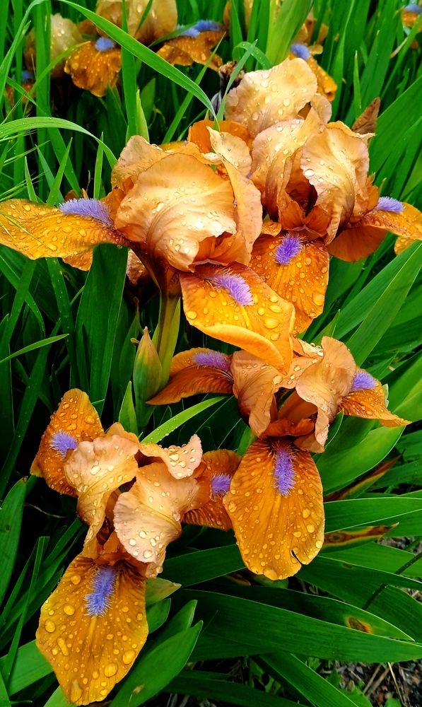 Photograph by Наталья Назаренко