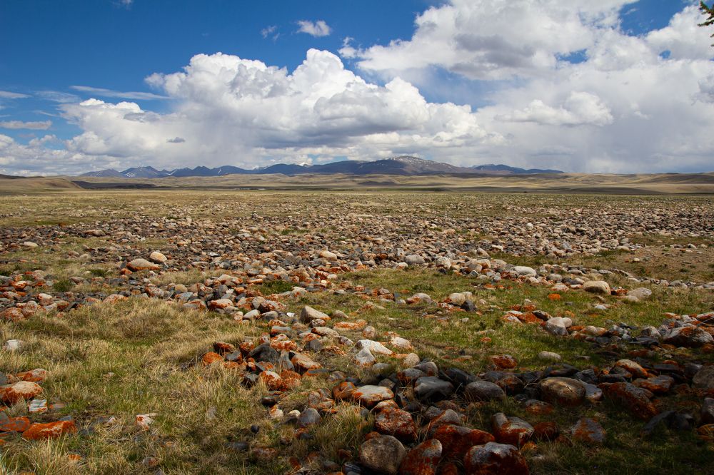 Photograph by Александр Коковихин