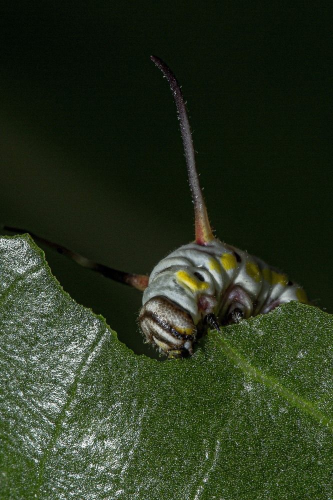 Photograph by Anantharajha Manoj