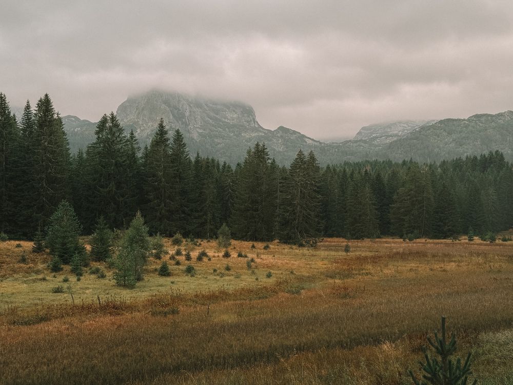 Photograph by Uliana Volegova