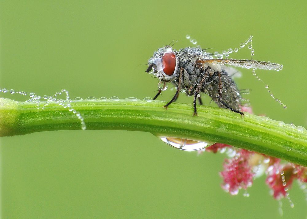 Photograph by Павел Колеснев