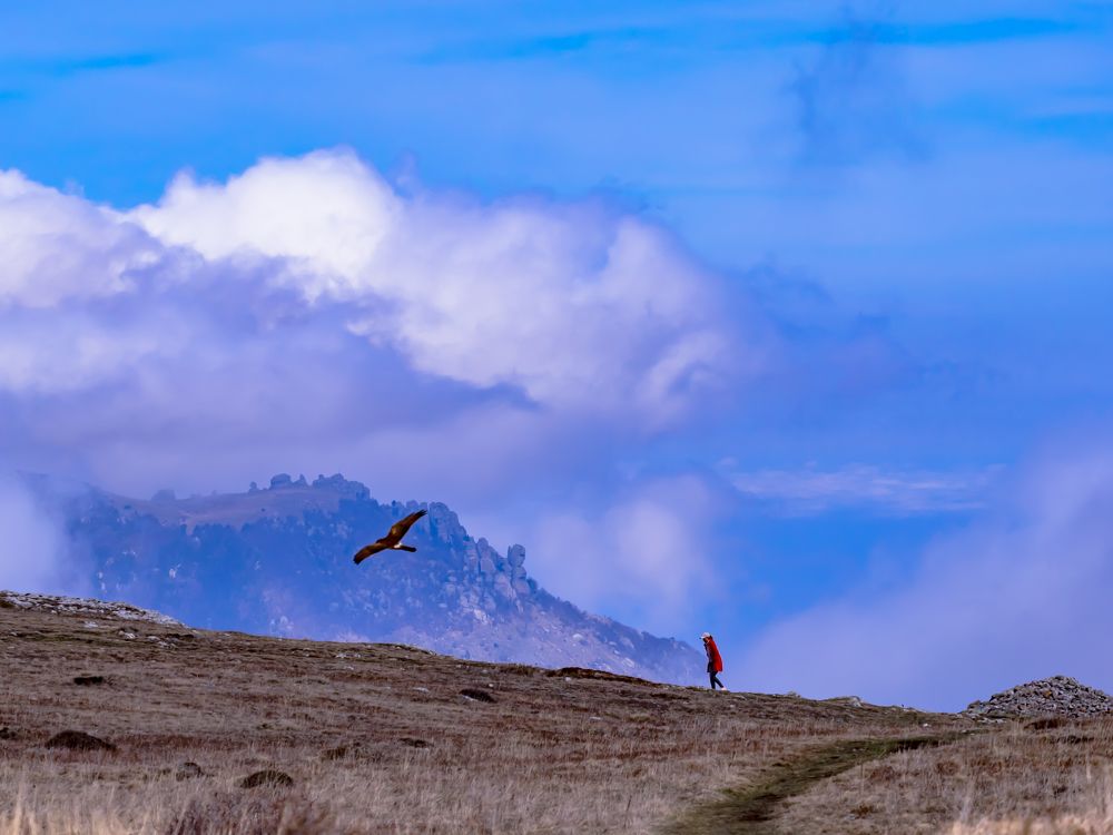 Фотография автора Alec Golibroda