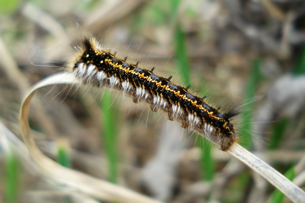 Photograph by Павел Колеснев