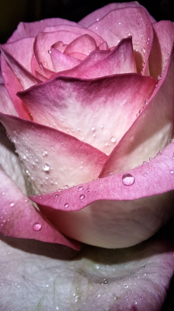 Photograph by Наталья Вялых