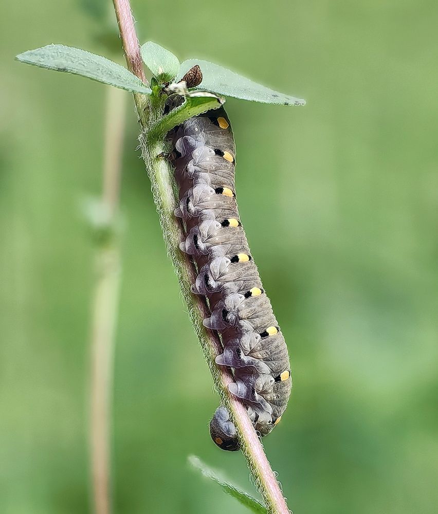 Photograph by Кристина Рыбина