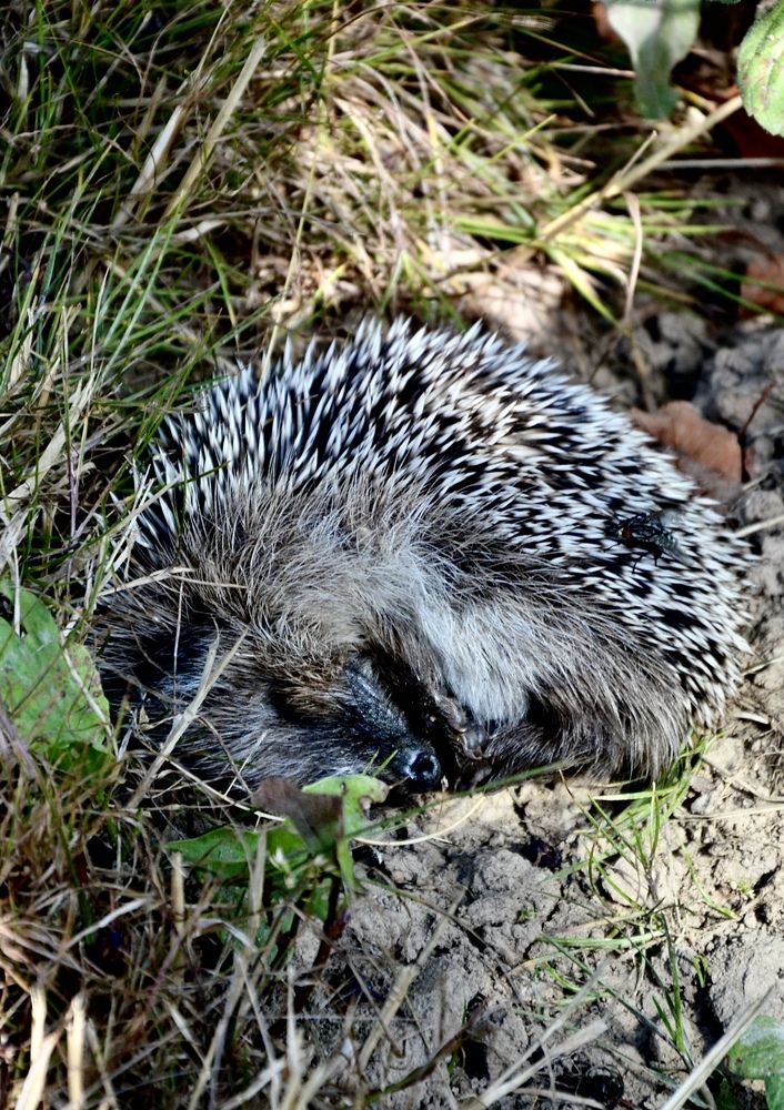 Photograph by Елена Чулюнина