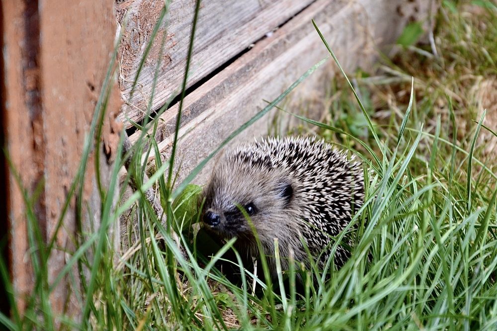 Photograph by Елена Чулюнина