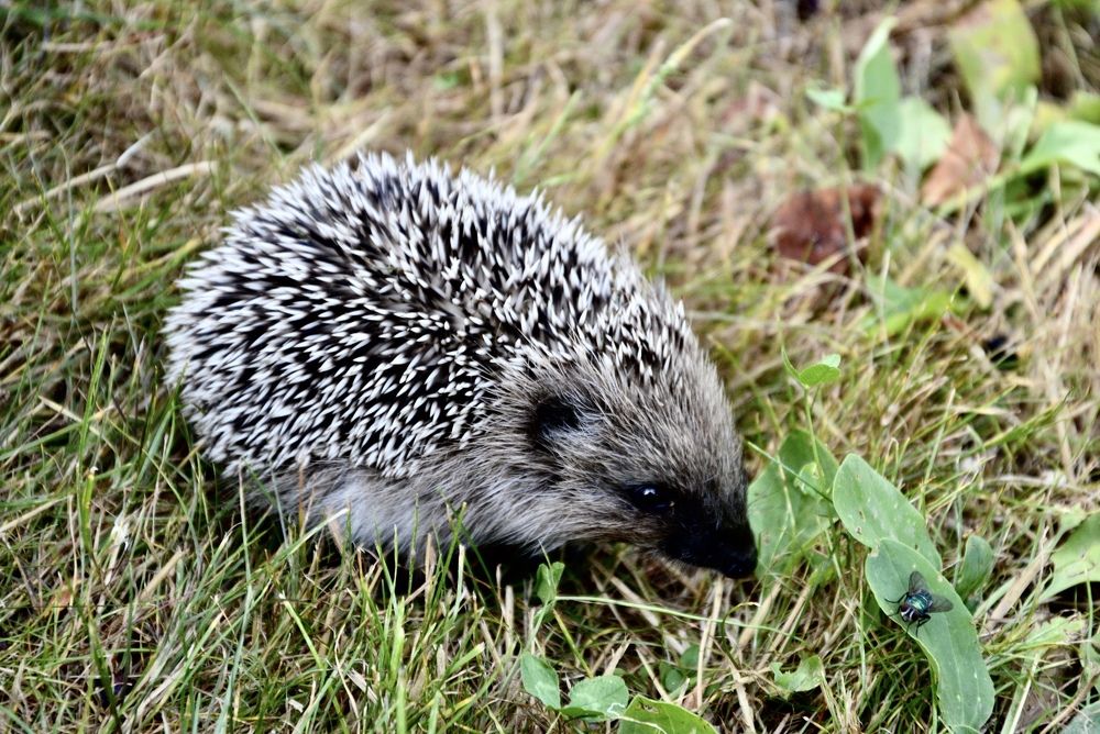 Photograph by Елена Чулюнина