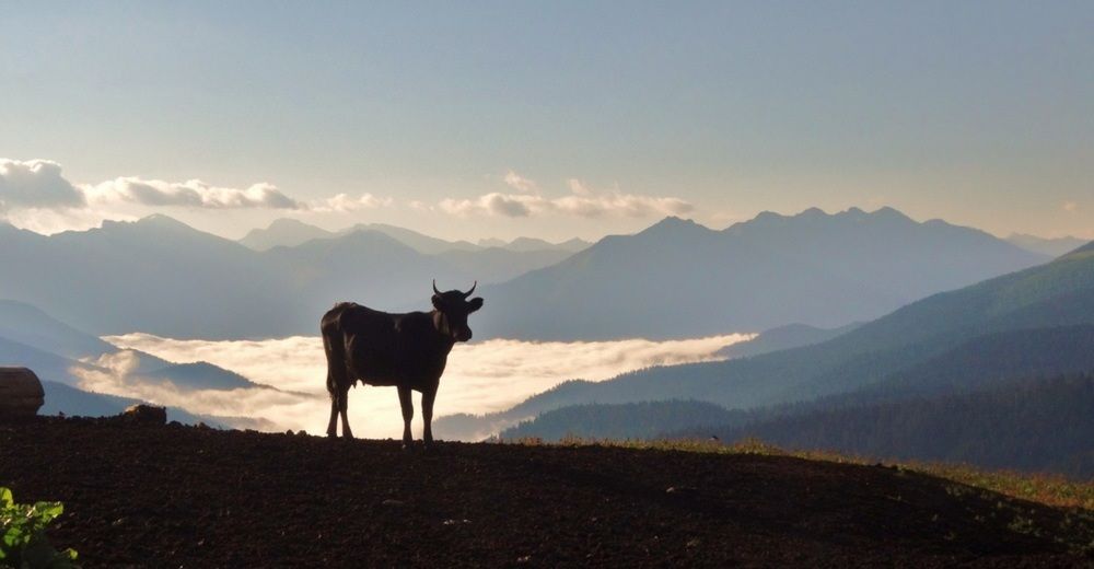 Photograph by Павел Васильев