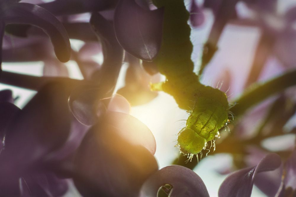 Photograph by Анастасия Павлова