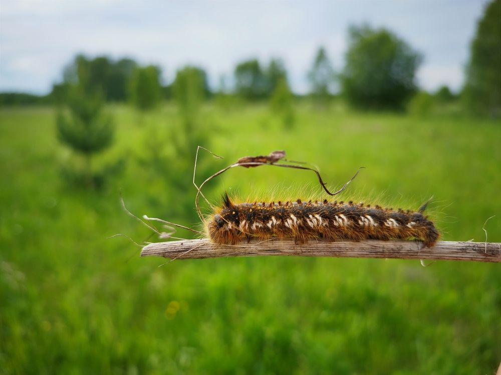 Photograph by Павел Колеснев