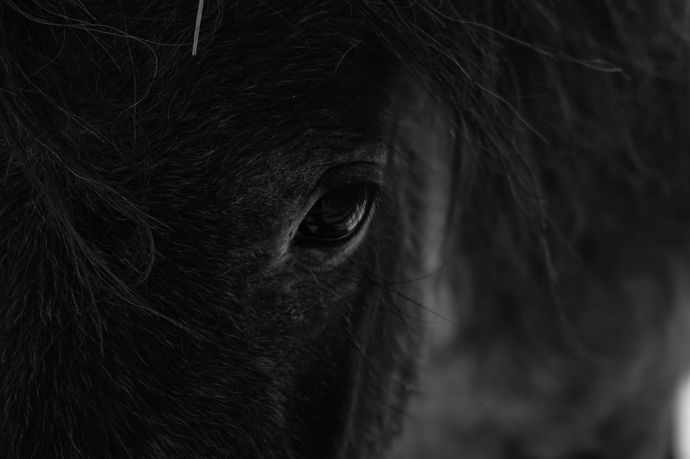 Фотография автора Nam Phạm