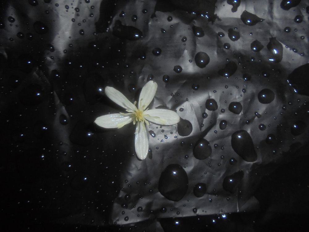 Photograph by Лилия Исхакова