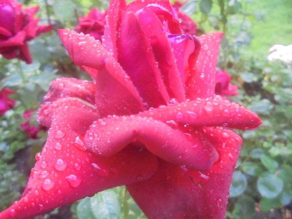 Photograph by Лилия Исхакова