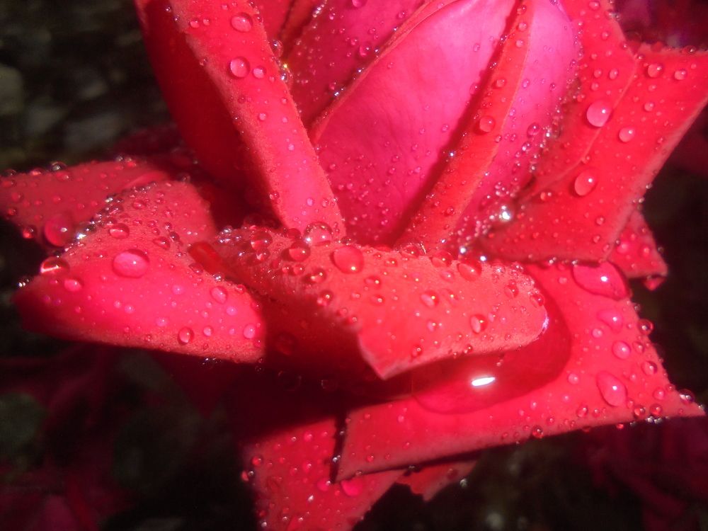 Photograph by Лилия Исхакова