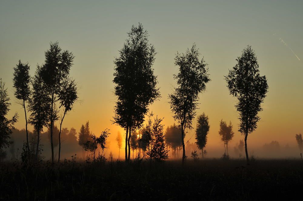 Photograph by Cергей Абакумов