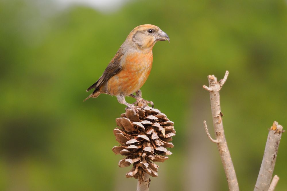 Фотография автора Herraiz Jorge